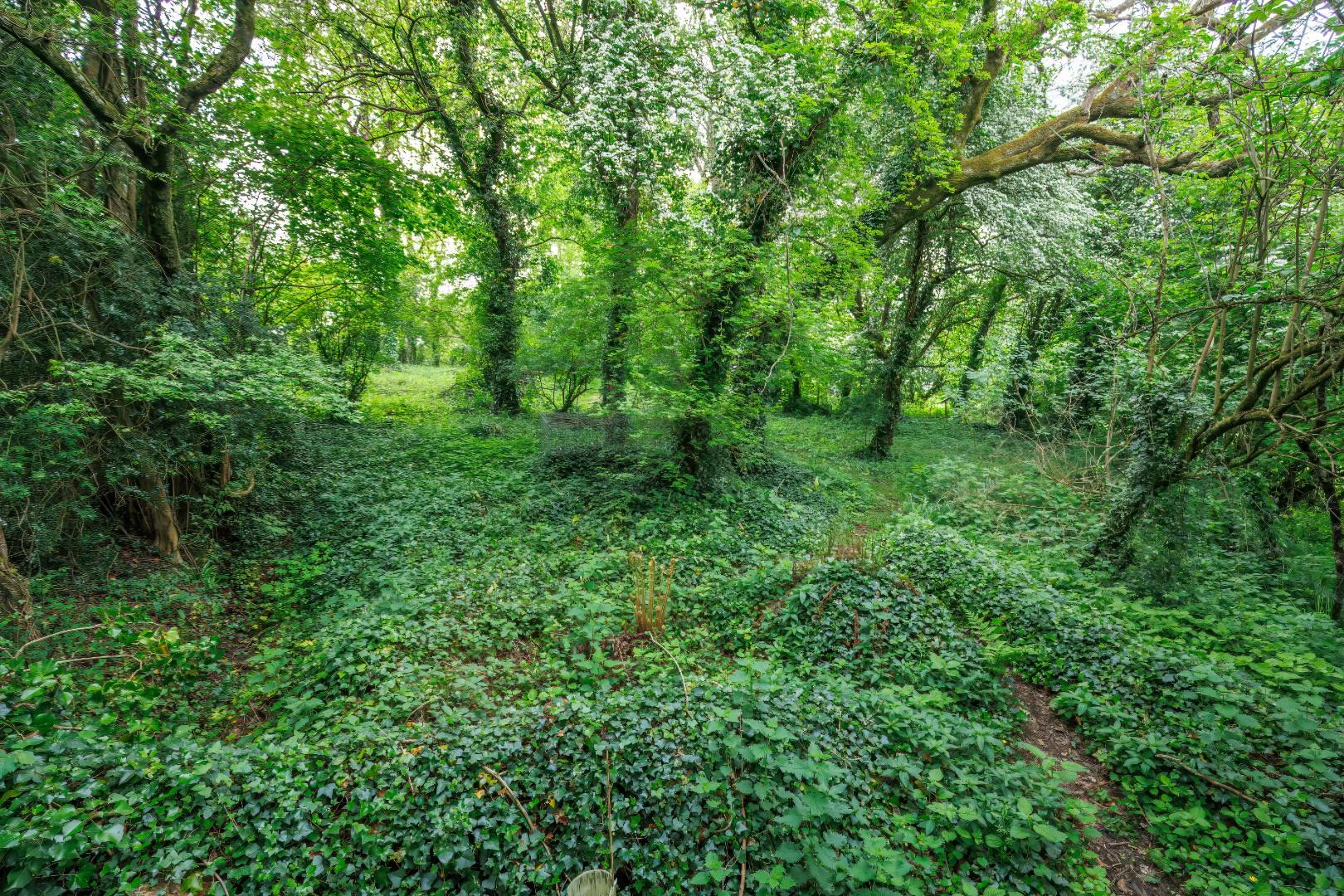 Dyffryn, Nr St Nicholas, Vale of Glamorgan, CF5 6SU